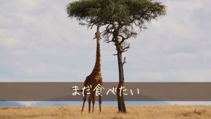 ご飯を食べても物足りない理由