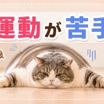 苦手な運動でもチャレンジしやすい習慣を教えて
