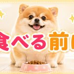 食べるまえにイメージしてダイエット成功確率アップ