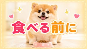 食べるまえにイメージしてダイエット成功確率アップ