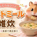 ダイエットレシピ　オートミールにトライ！