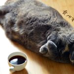 ダイエット中に食べ過ぎた時の思考