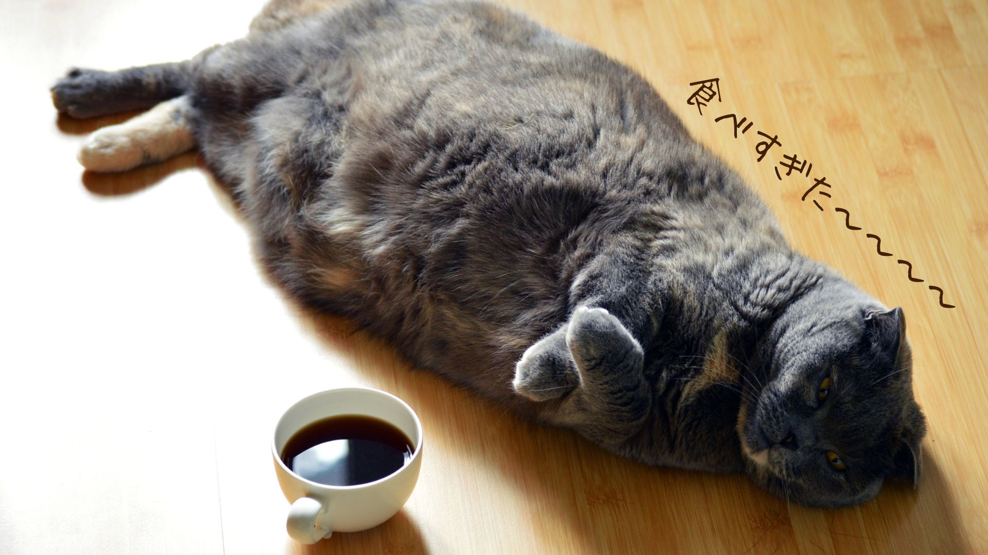 ダイエット中に食べ過ぎた時の思考