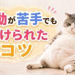 運動が苦手でもダイエットが継続した人のコツTOP5