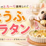 とうふグラタンで満腹感！